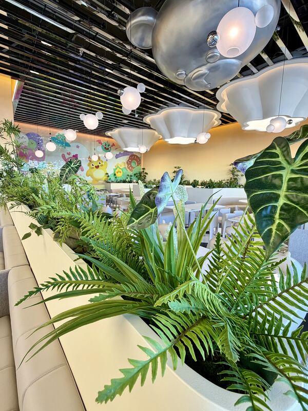 Decorative plant display
